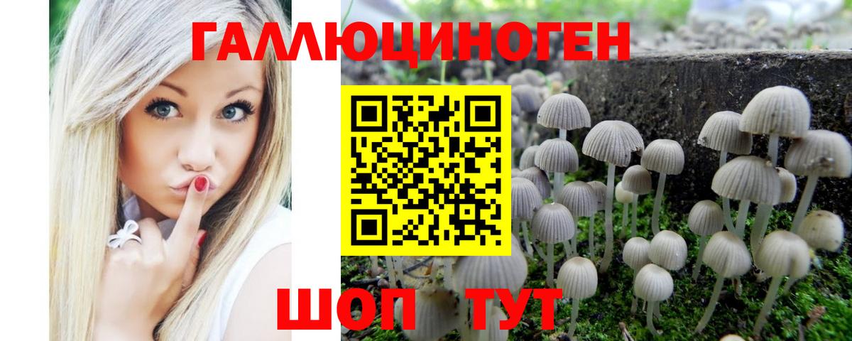 Галлюциногенные грибы Cubensis Каменск-Уральский