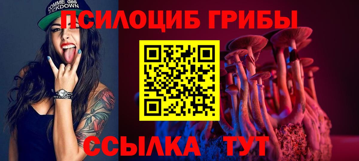 Галлюциногенные грибы Psilocybine cubensis  Вход с VPN  Псилоцибиновые грибы GOLDEN TEACHER  Каменск-Уральский 